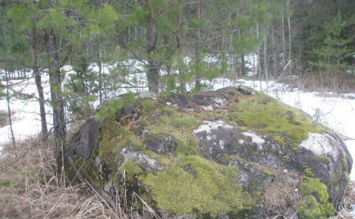 7_Dailidžių akmuo.jpg